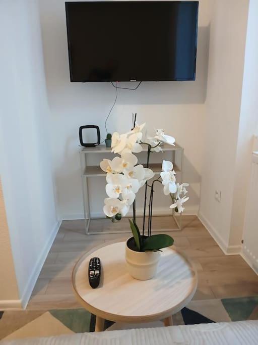 Appartement F1 Orchidee Mulhouse Exteriör bild